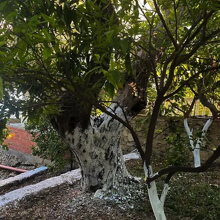 Villa Ulu