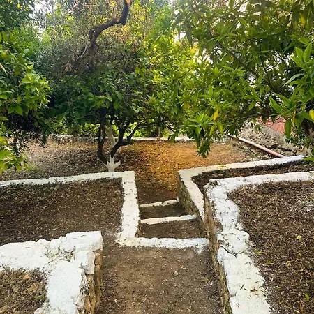 Ulu